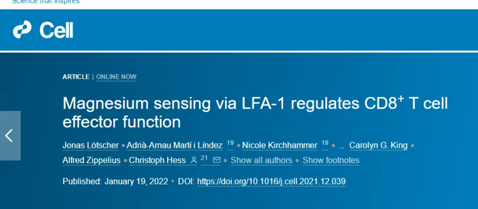 研究发现：缺镁的人抗癌能力或更差！其实常吃5类食物就能补