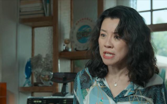 当“整容脸”进入央视家庭剧，老戏骨被打回原形，连刘琳也救不了