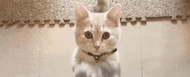 鹿晗突然官宣，关晓彤炸上热搜，网友：7年了，恭喜恭喜