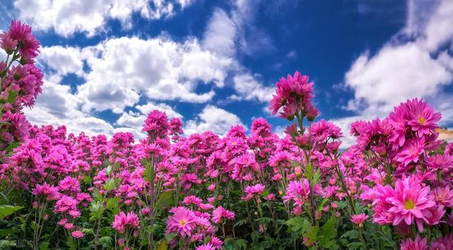 成年人最大的清醒：体制内提拔并不全都是好事！原因既现实又扎心