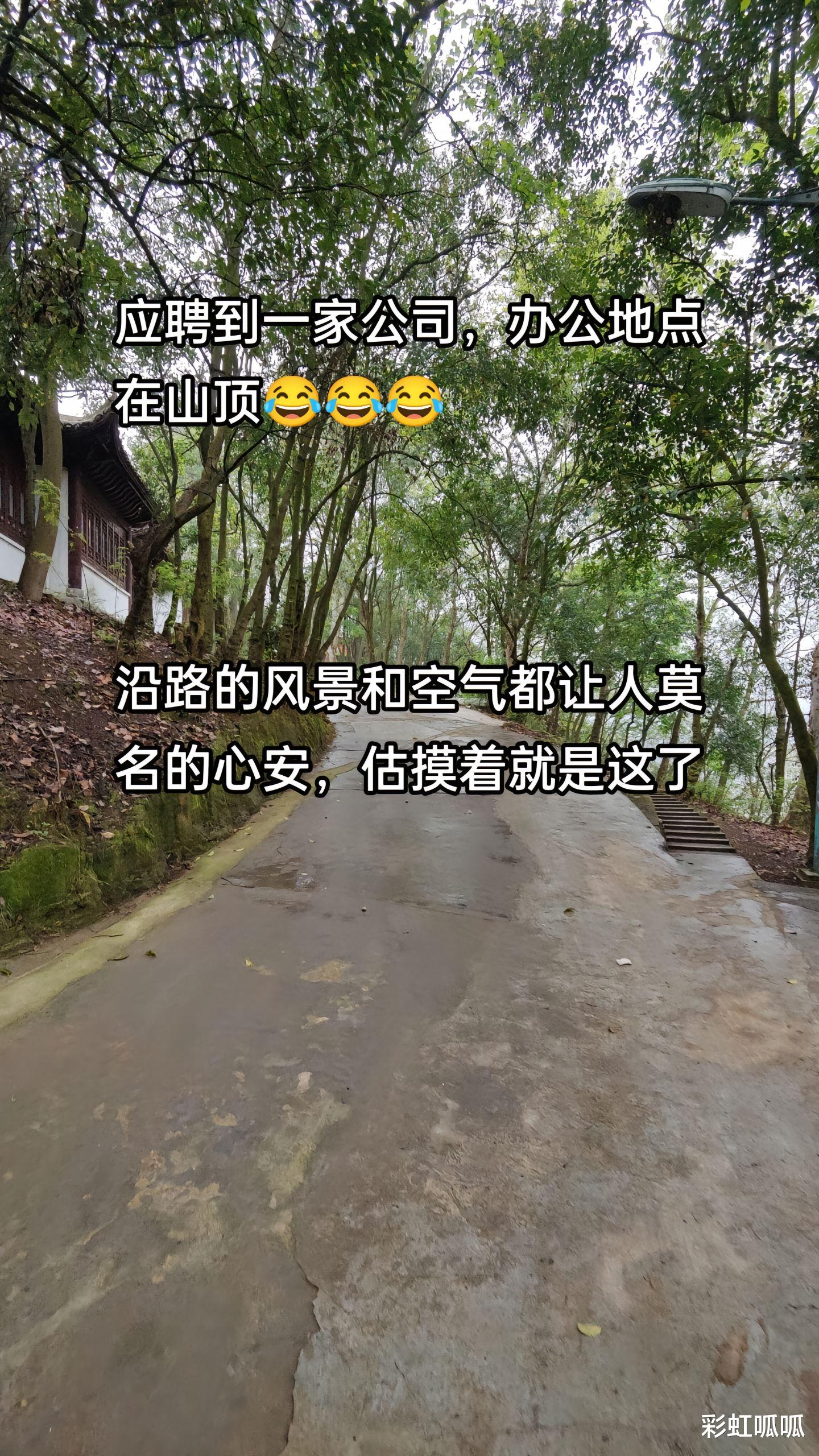 我可以干到退休！贵州一女子去当守山员，追剧玩游戏都没人管