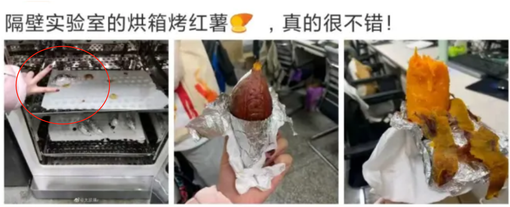 女生做美甲、在实验室烤红薯,把规则当儿戏,网友:你也配读研?