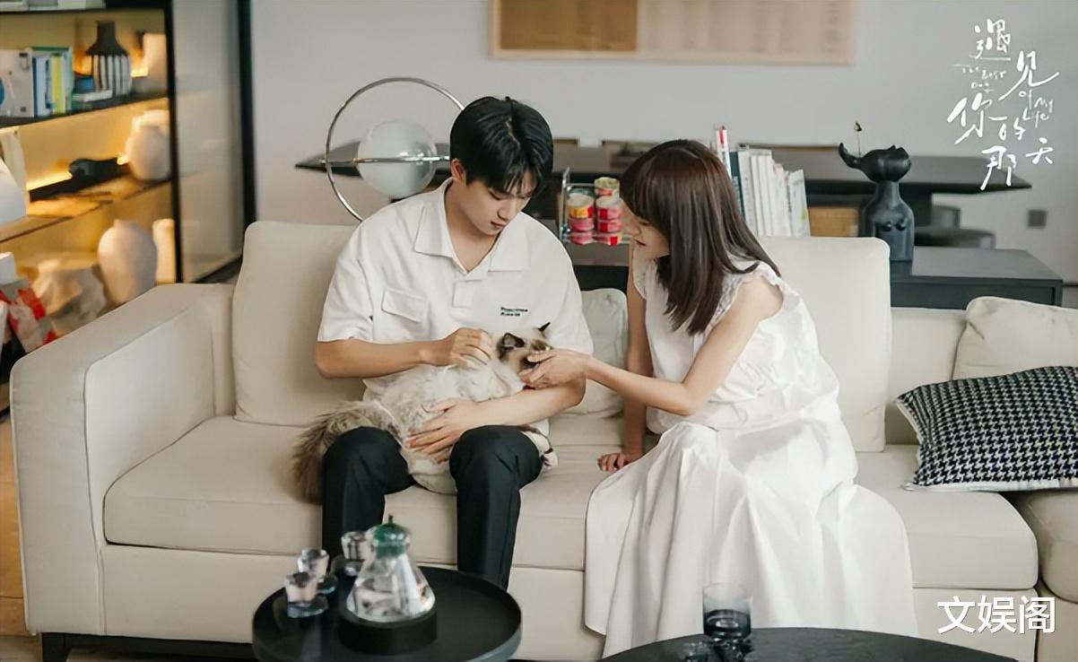 出道仅4年,从小配角到女主角,清纯外形的她走得很稳