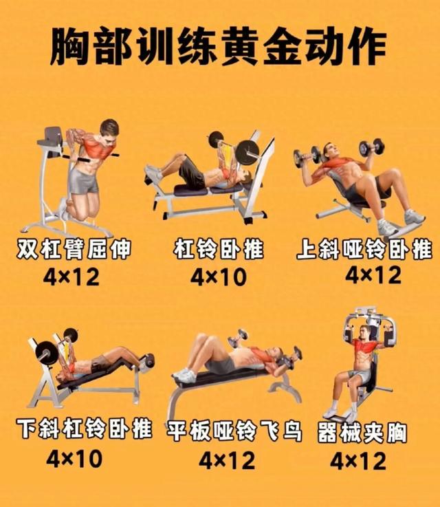 健身的黄金动作！高效！简单！粗暴！
