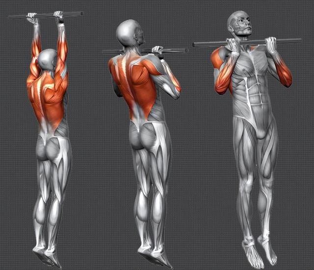 你一次能做多少个引体向上？新手如何实现0的突破？