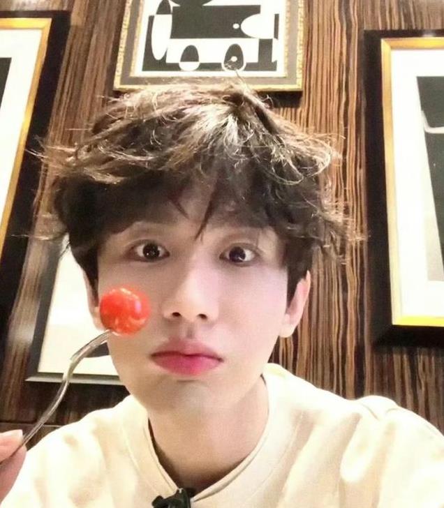 身高180以上的美男出炉，瑞风眼帅哥登顶，林更新16于适14李现10