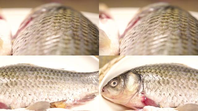 鱼的4个部位毒素多？不要随便给家人吃，多亏老板提醒，长知识了