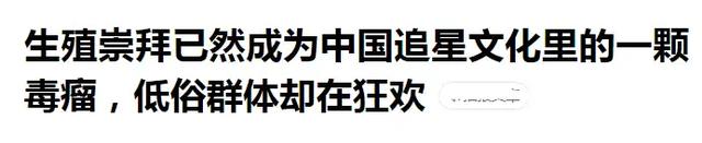 生殖崇拜、颜值至上、恶趣味,正在成为内娱追星文化里的“毒瘤”