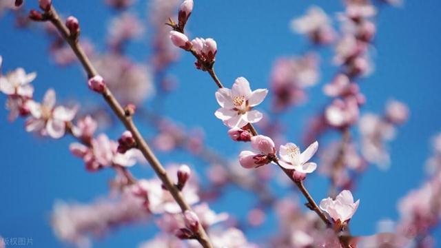 常年宗筋太弱？无法正常生活是什么原因导致的？