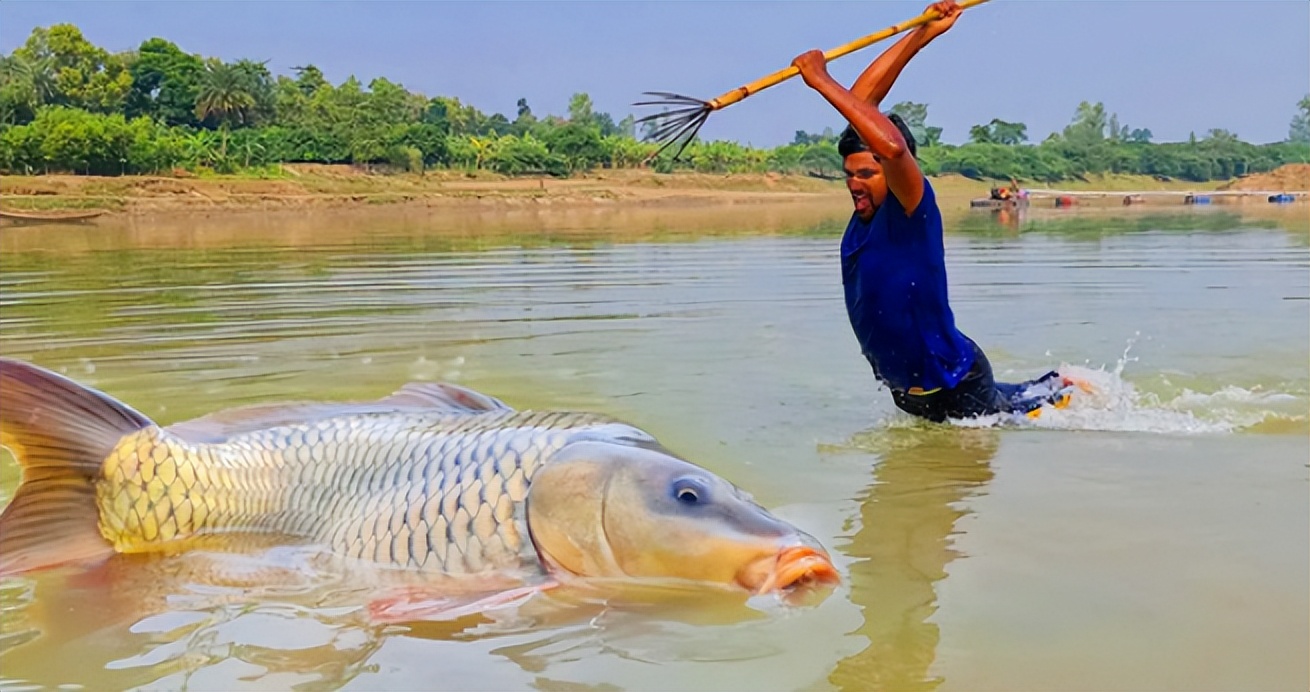 4种正在逐步消失的河鲜，30年前当草现在当宝，你吃过几种呢？
