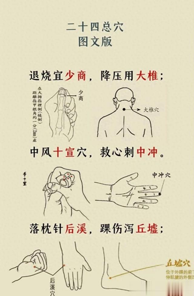 二十四总穴歌诀汇总，附穴位图解