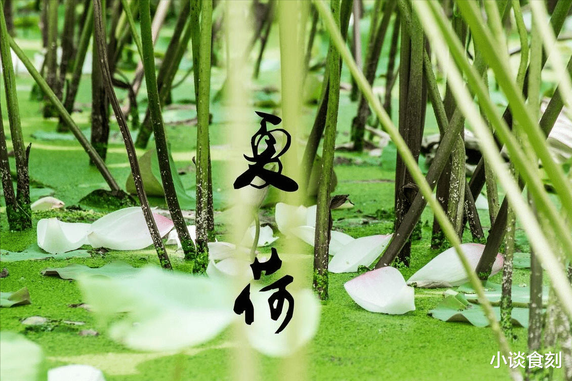 明日农历六月十一,“十一有三怕”,到底在怕什么?为啥要怕呢?