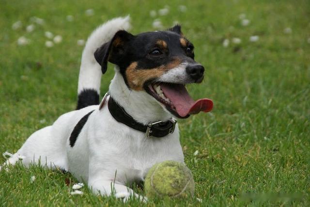 挺练之后的肌肉男,看看他们都变成什么鬼样子?