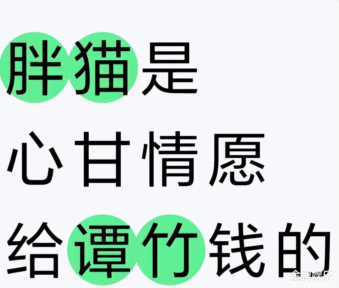 胖猫多张照片出炉,长得很帅气,配谭某绰绰有余