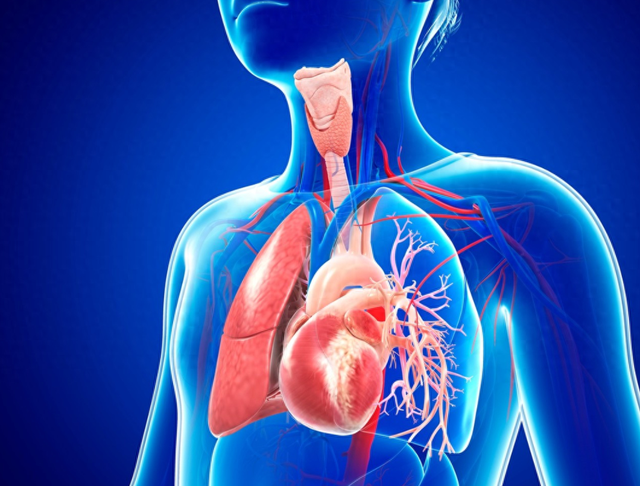 猝死的中老年人多半就是不听劝，医生提醒：5种情况不能放松警惕