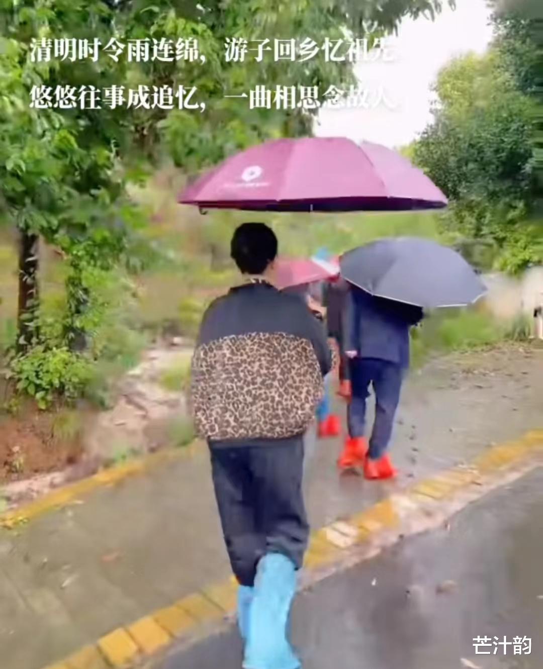 许敏夫妇回乡祭祖，姚爸再露面显憔悴，姚策堂嫂再回应蹭流量质疑