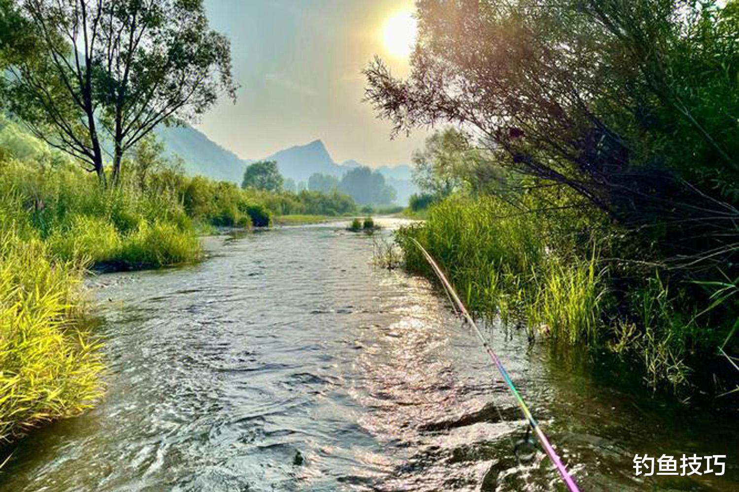 溪流钓的诱鱼、促食和留鱼技巧，简单实用