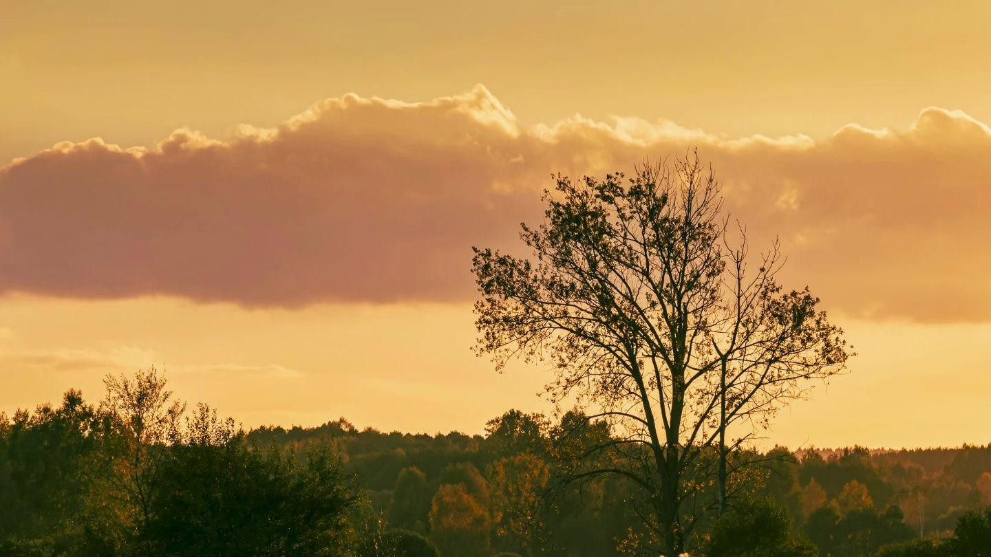 偶遇初恋, 问我退休金，真实8000我谎称800, 初恋：好极了, 就你了