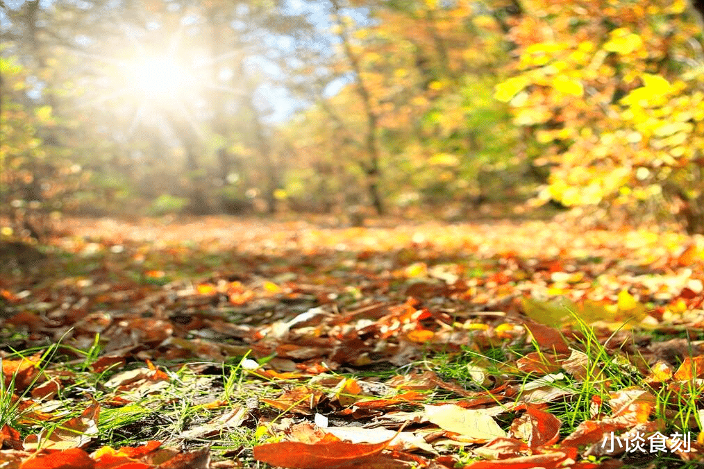 “处暑不出伏,一年无春秋”,今年秋老虎到底热不热?要热多久?