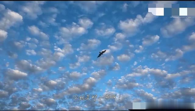 娱乐爆料：谭松韵，曾舜晞，钟楚曦，赵丽颖，白夜破晓