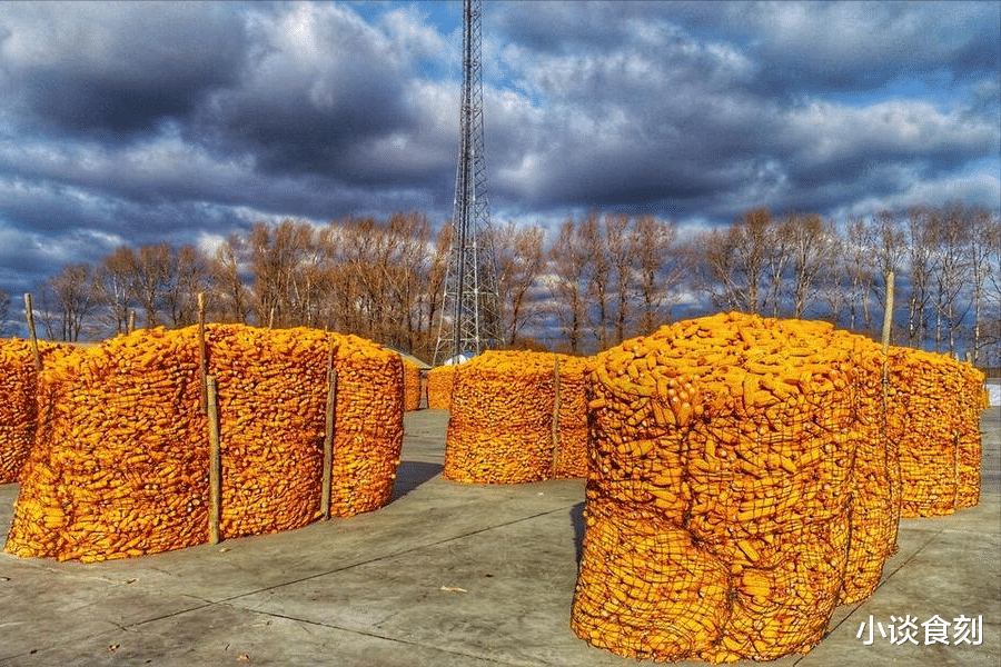 今日七月十七,老话说“最怕十七一日淋”,下雨不好吗?有啥预兆