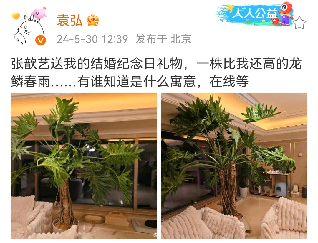 袁弘张歆艺办party庆祝结婚8周年,两人甜蜜拥吻,华晨宇低调现身
