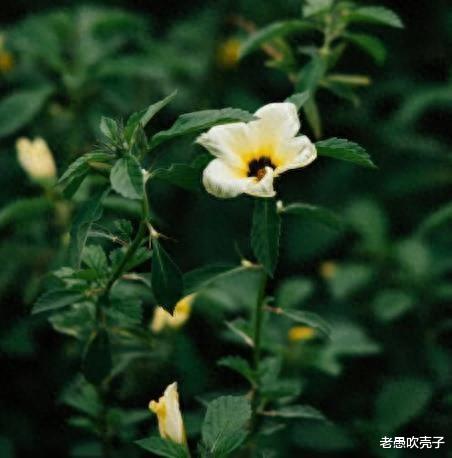 星座决定你的职场命运？一起来看看哪些职业最适合你的星座！