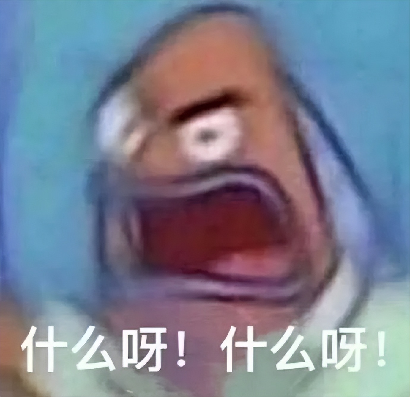 看到俄罗斯姐姐跷起二郎腿的那一刻,终于知道这季浪姐为何不行了