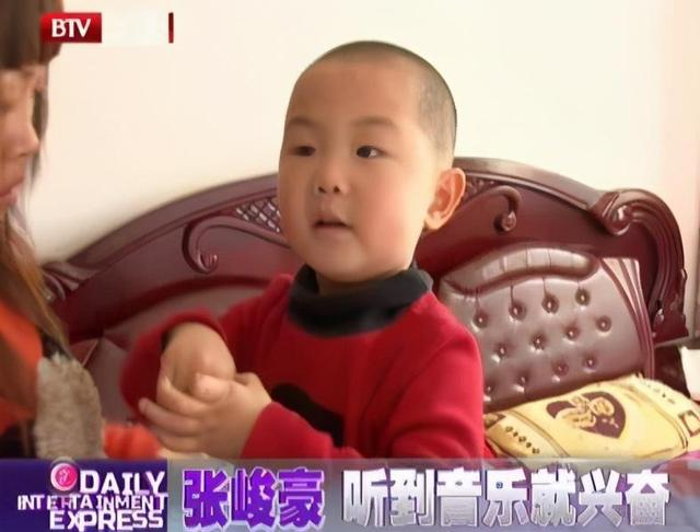 张峻豪|童星张峻豪：3岁出名，5岁上春晚，如今14岁的他早已是父母的骄傲