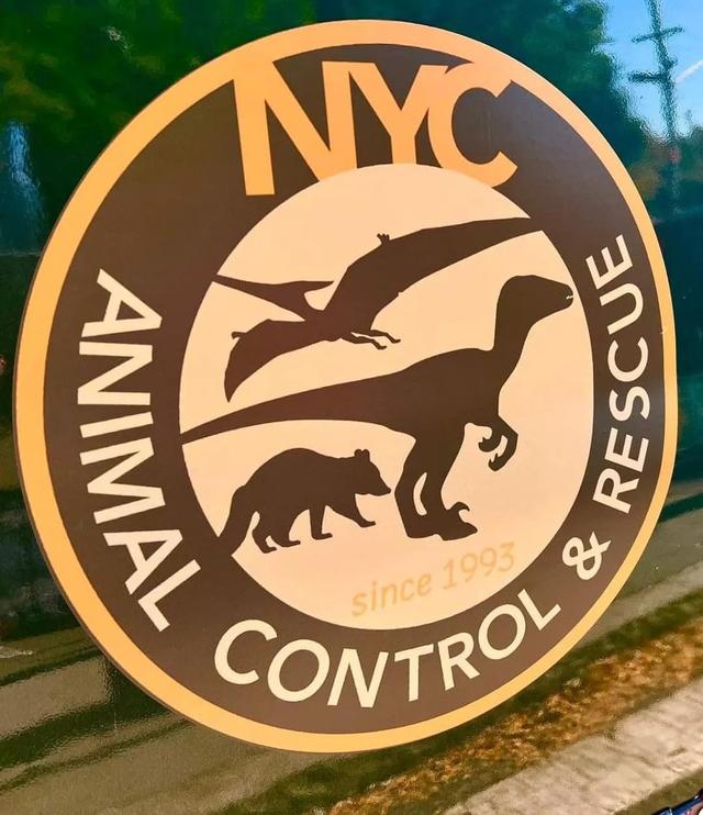 《侏罗纪世界4》曝片场照，《正义联盟VS哥斯拉VS金刚》出续集