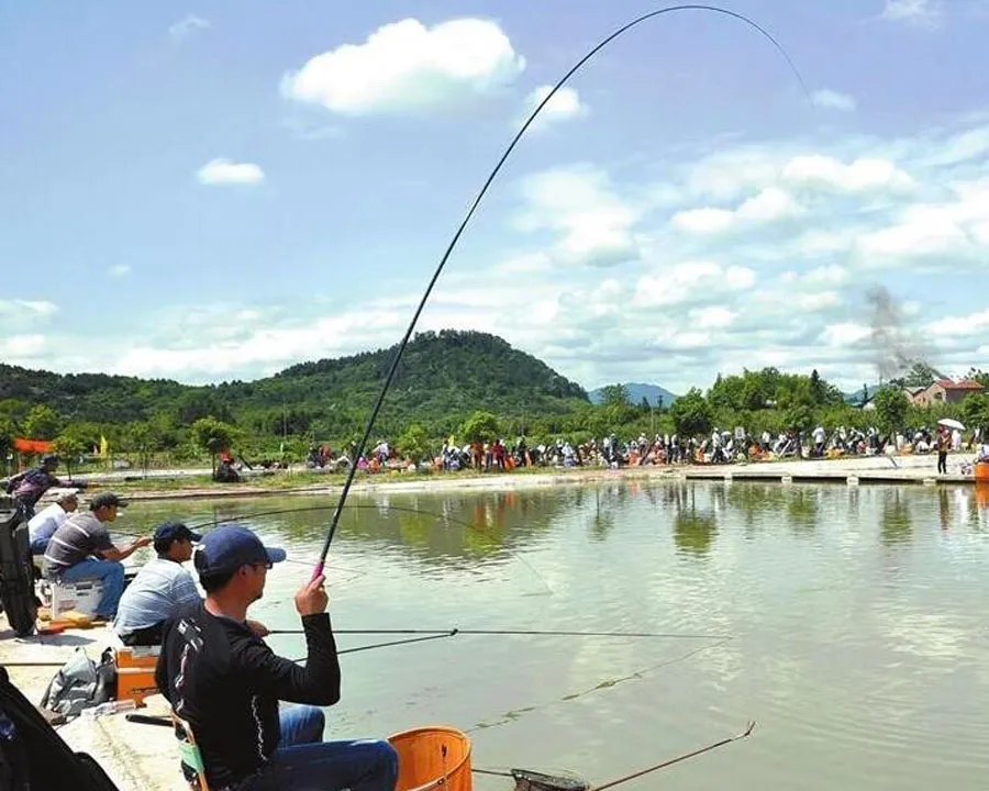 夏季钓黑坑的饵料调整与钓法运用，教你怎么玩转黑坑！
