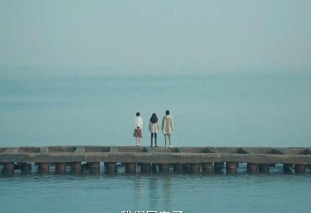 全程哽咽,《迎风的青春》大结局,是我今年看过最扎心的大结局