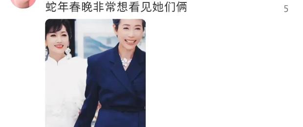 蛇年春晚征求好建议，评论区炸锅，网友们纷纷开始许愿