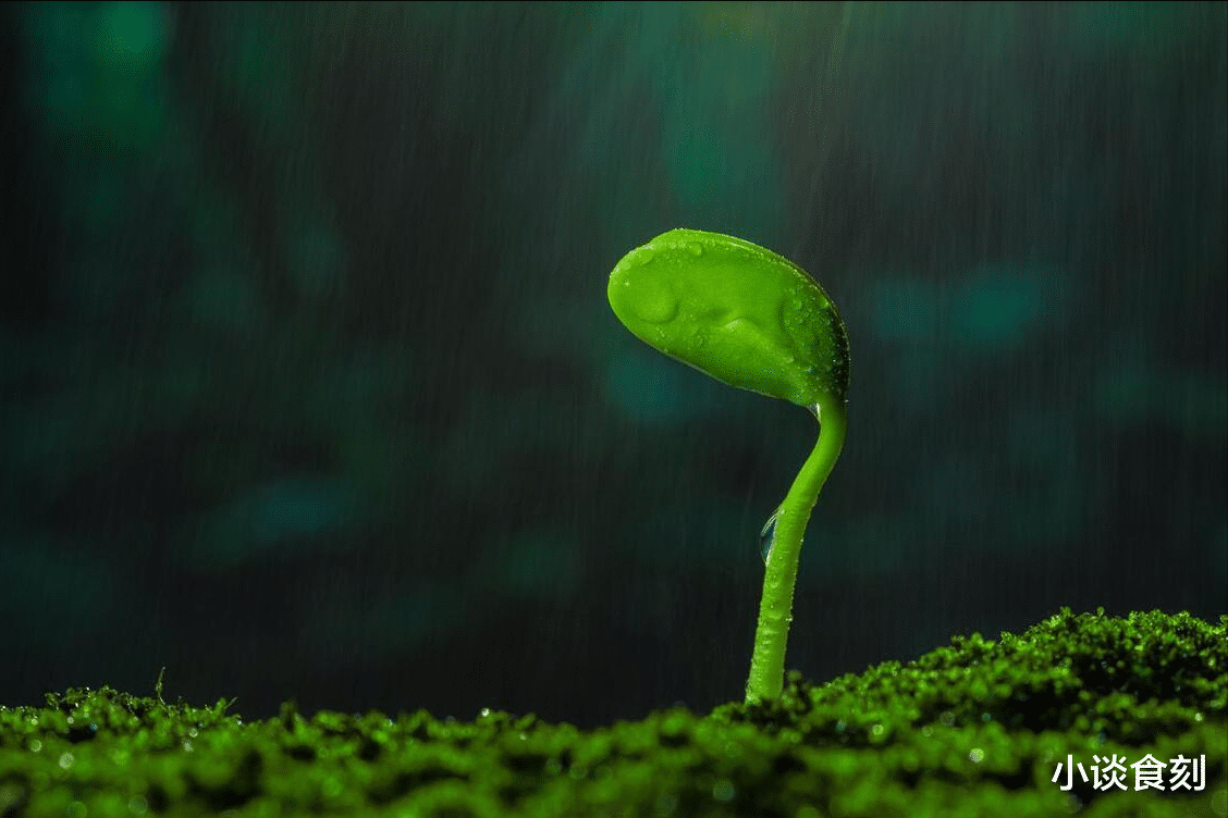 明日二月二十,老人说“最怕二十一日晴”,为啥怕晴天?早知道