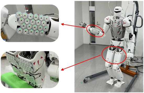 分布式触觉传感器如何让人形机器人感知世界，实现全身多接触运动