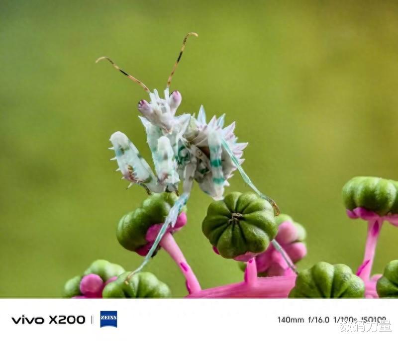 vivoX200 Pro影像评测:影像旗舰新高度