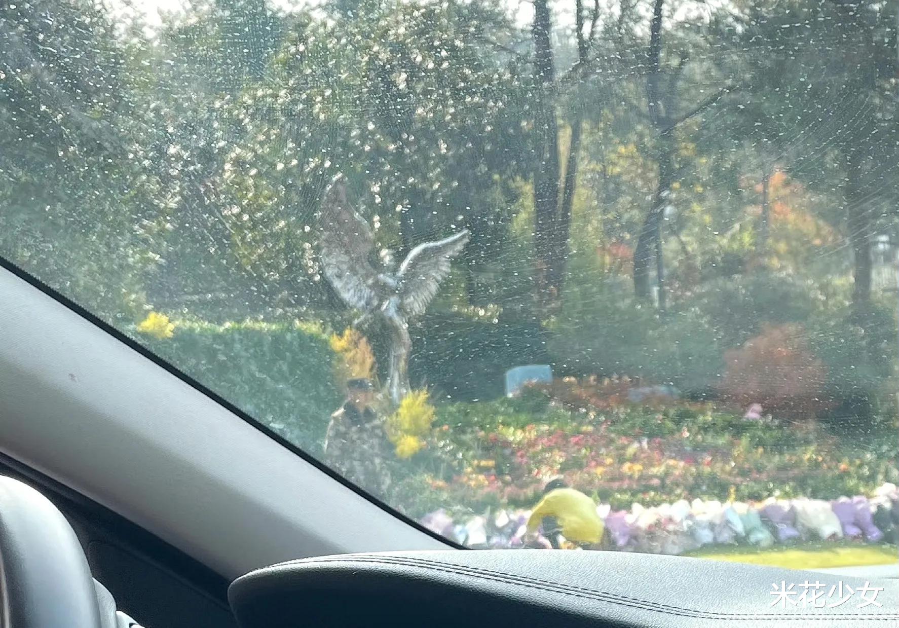 周海媚去世一周年,墓前成为花的海洋,李玟的墓前又如何呢?