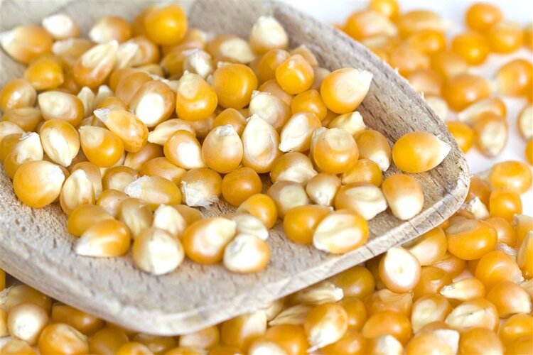 47岁男子深夜猝死,医生痛斥:这4种食物就算再爱,晚饭也要少碰