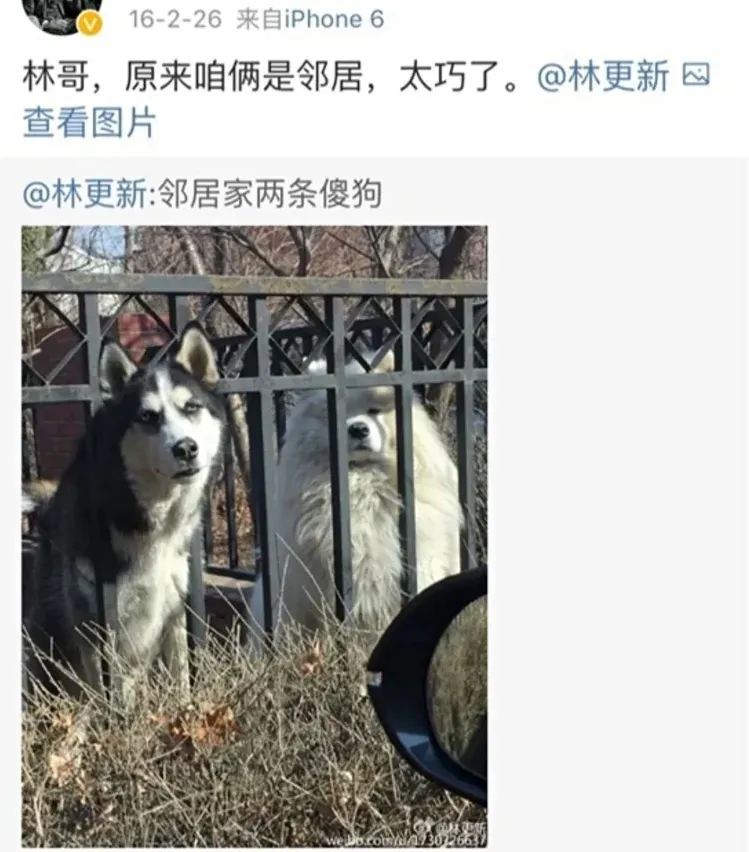 “内娱新晋渣男”：好帅一张脸，好毒一张嘴！