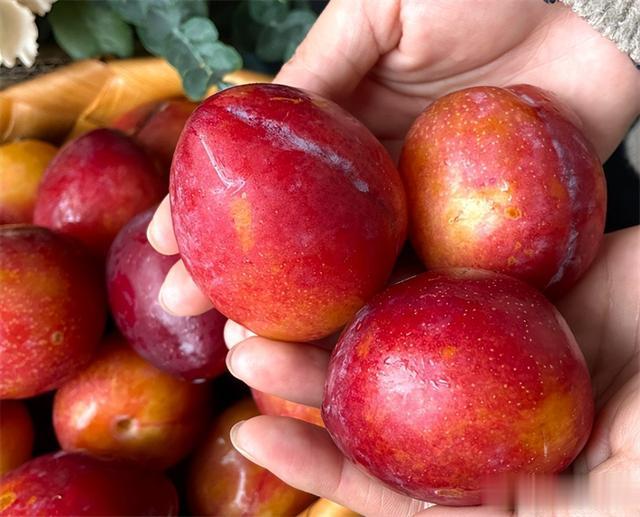 热量比苹果还低！这5种夏季水果，含糖少、热量低，好吃、不长肉