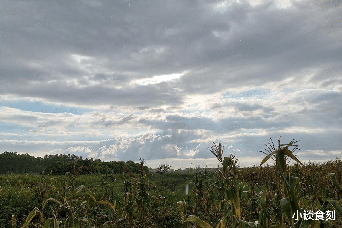 8月7日立秋,到底是“早秋凉,还是晚秋凉”?今年立秋在何时?