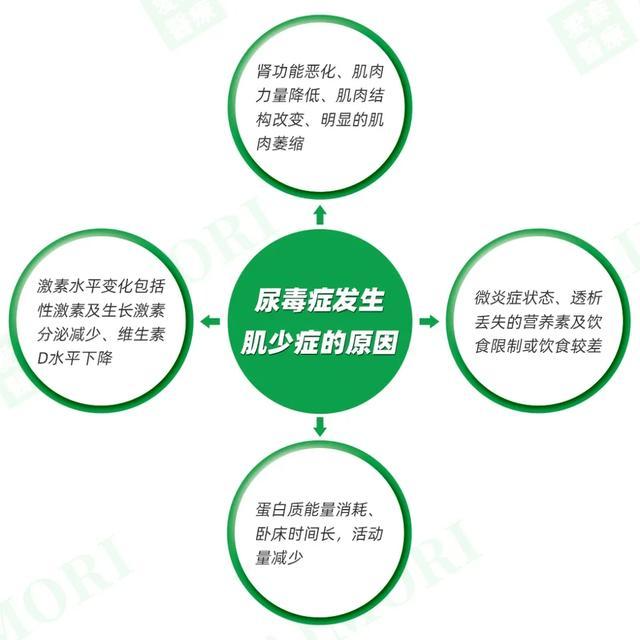 骨折、跌倒、致残、死亡，肾友极易出现的问题，但却一直被忽视！