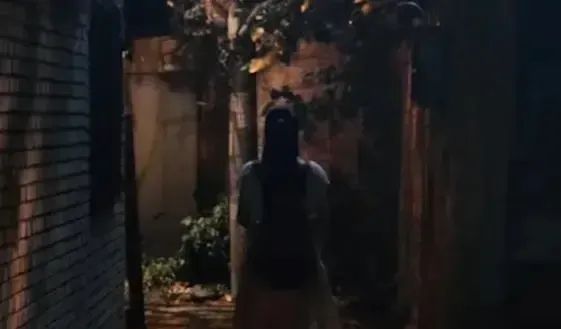 16集悬疑剧!廖凡刘琳主演!都是实力派!必须熬夜追!