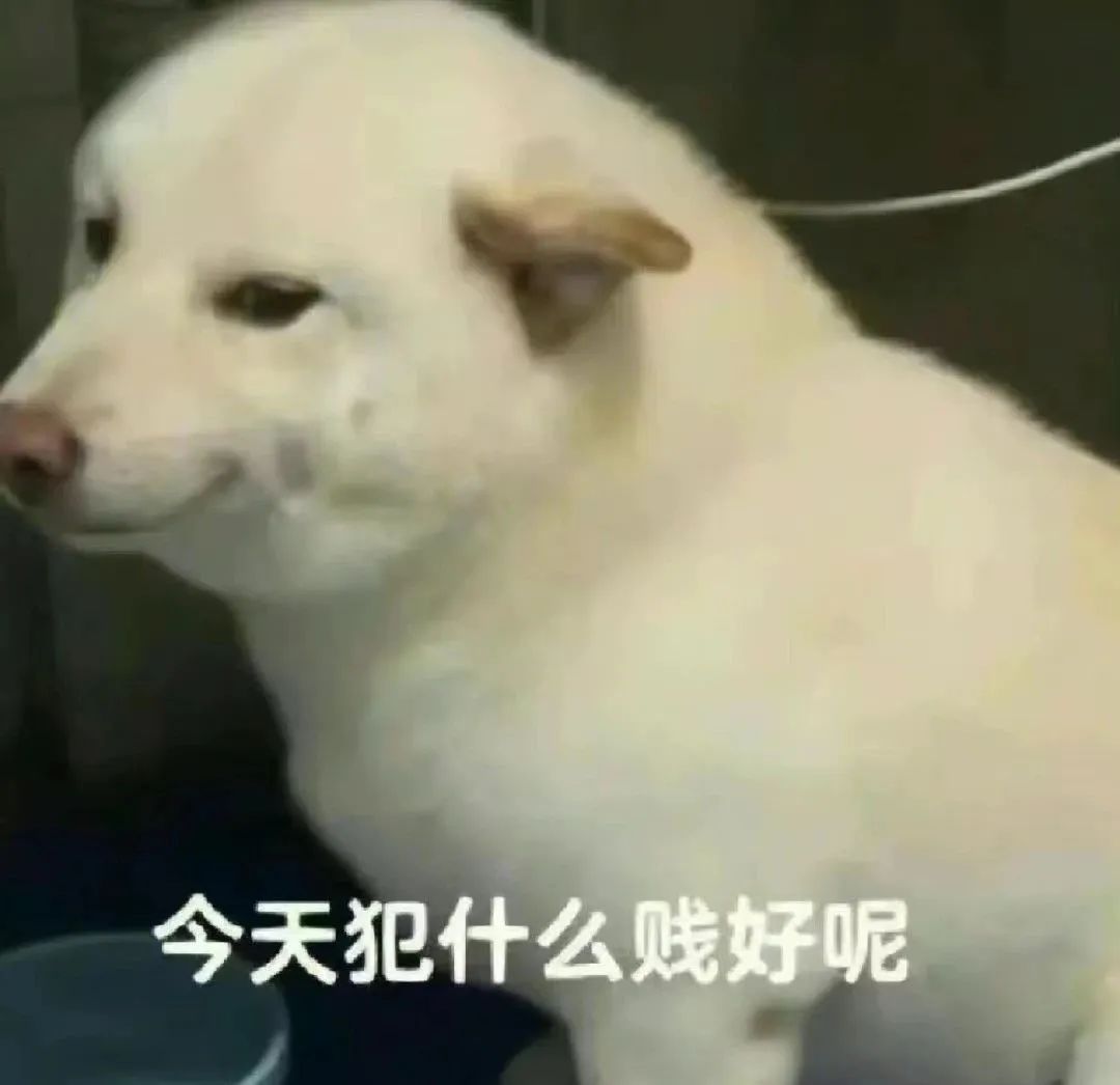 古希腊掌管已读乱回的神,她的粉丝数比韩国人口还多?