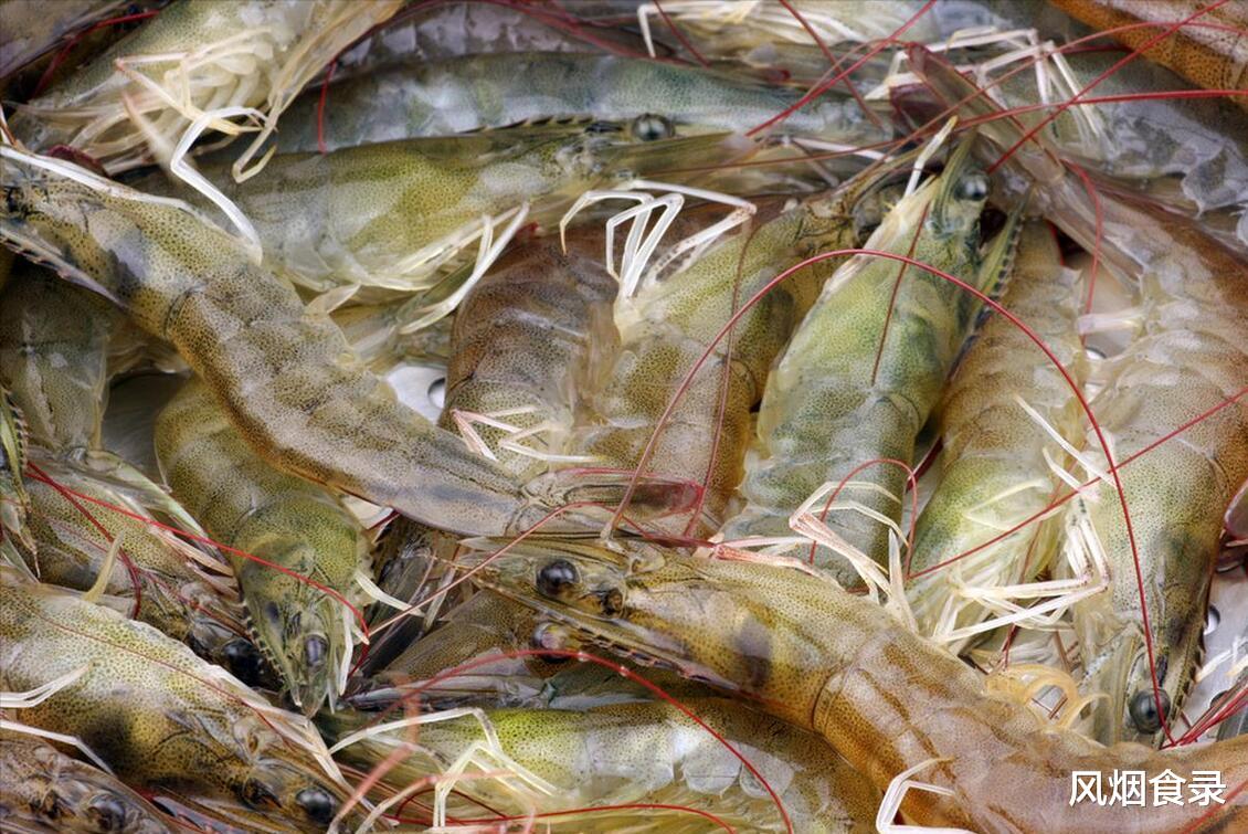 8月，吃啥应季海鲜？渔民推荐这10种，新鲜，肥美，错过再等一年