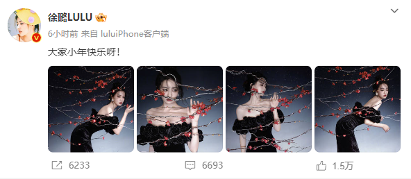 徐璐“梅花冬夜”写真曝光,网友大呼:人比梅花更惊艳!