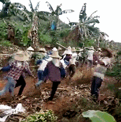 魏大勋扯的不是李沁的裙子,而是整个娱乐圈的丑,他们什么关系