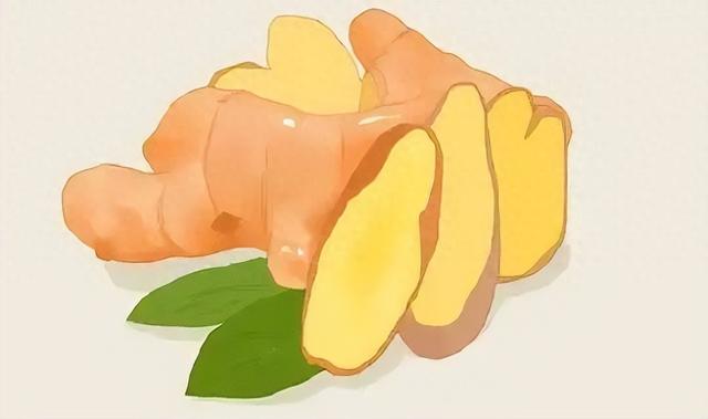 生姜是胃肠癌“元凶”?医生提醒:不想肠胃报废,4样请谨慎食用