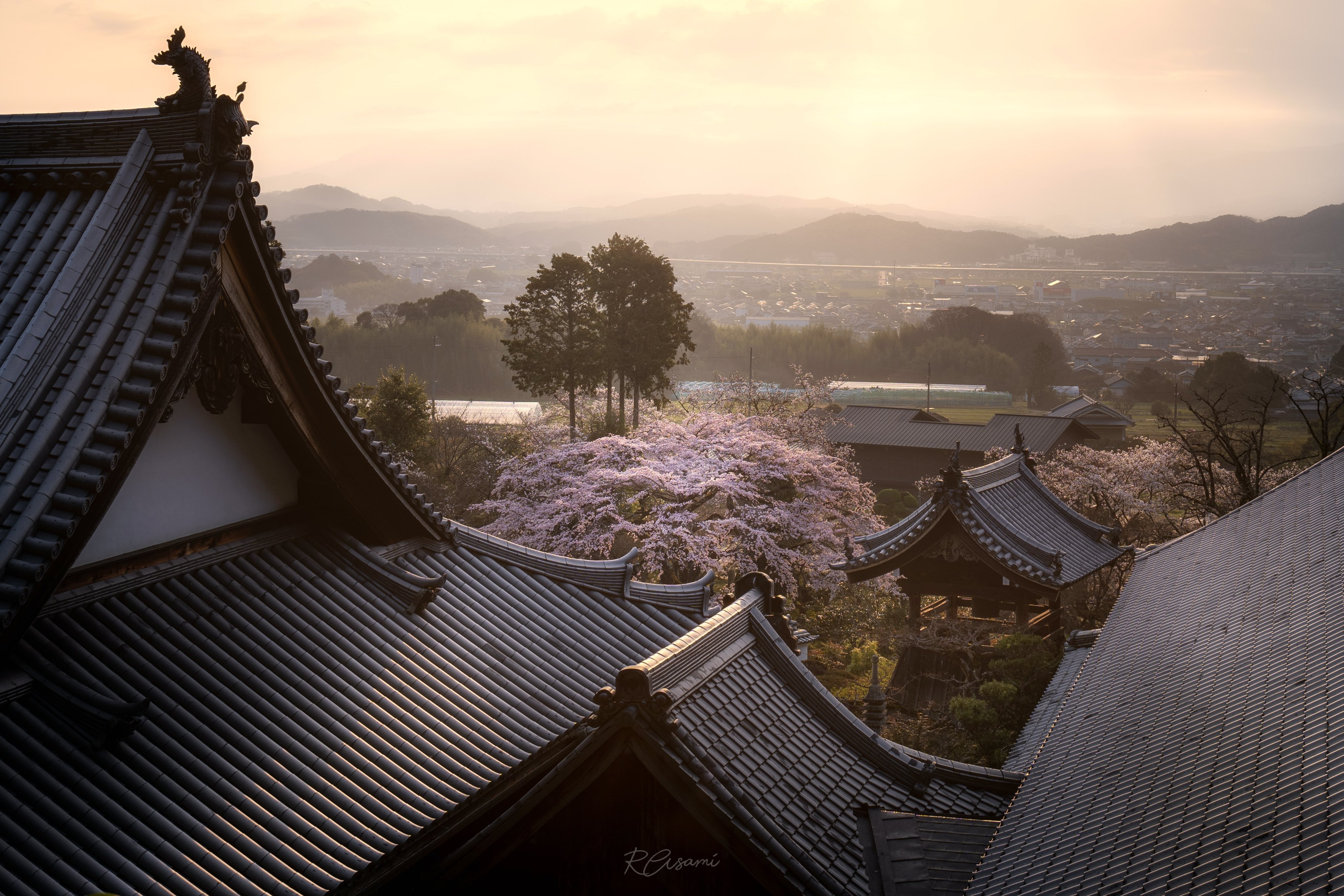 2024年运势特别好的生肖女,贵人帮助,职场和谐,赚钱如鱼得水