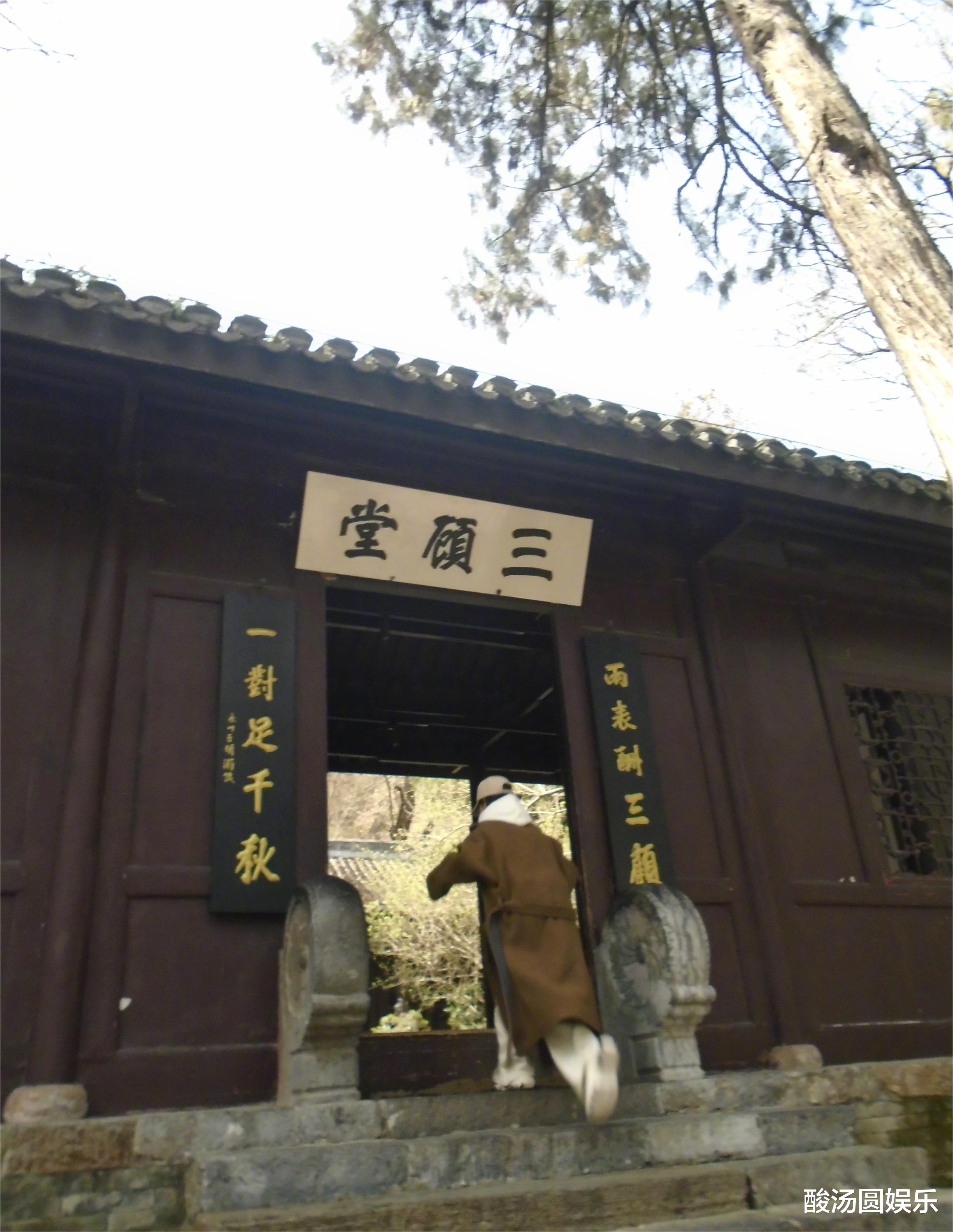 杨紫邀你共赏春色,她究竟想表达什么呢?